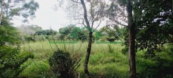 Terrenos e Chácaras-SÍTIO TUPI-foto276851