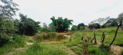 Terrenos e Chácaras-SÍTIO TUPI-foto276852