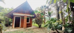 Terrenos e Chácaras-SÍTIO TUPI-foto276854