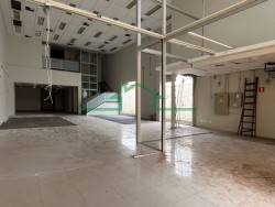 Comerciais-AV. CARLOS BOTELHO-foto277390