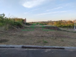 NOVO HORIZONTE