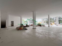 Comerciais-SALÃO AV. ANTONIA PAZZINATO STURION-foto278814