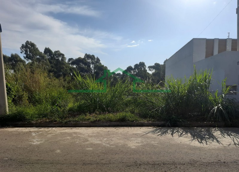 CAMPOS DO CONDE