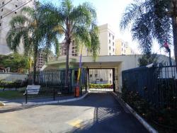 ED. VILLAGE CLEOPATH
