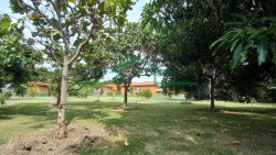 Terrenos e Chácaras-SANTA RITA-foto251919