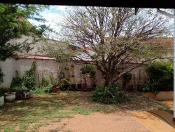 Casas-SÃO DIMAS-foto222410