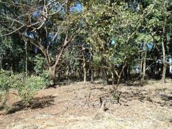 Terrenos e Chácaras-ITAPERU-foto157682