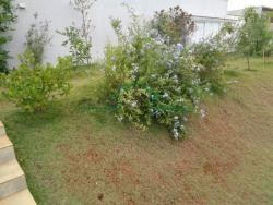 Casas-CONDOMÍNIO RESIDENCIAL MONTE ALEGRE-foto161822