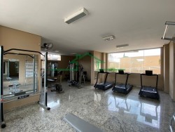 Apartamentos-ED. TERRA-foto253976