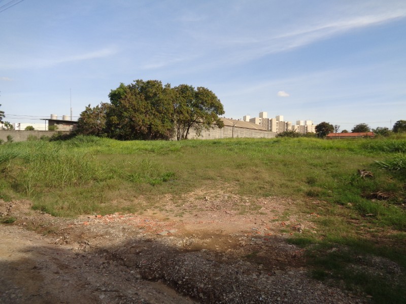 Terrenos e Chácaras-ÁREA BONGUE-foto173854