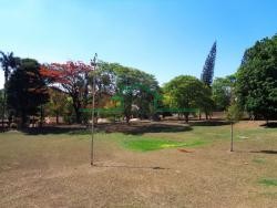 Terrenos e Chácaras-CHÁCARA DOIS CÓRREGOS-foto180647